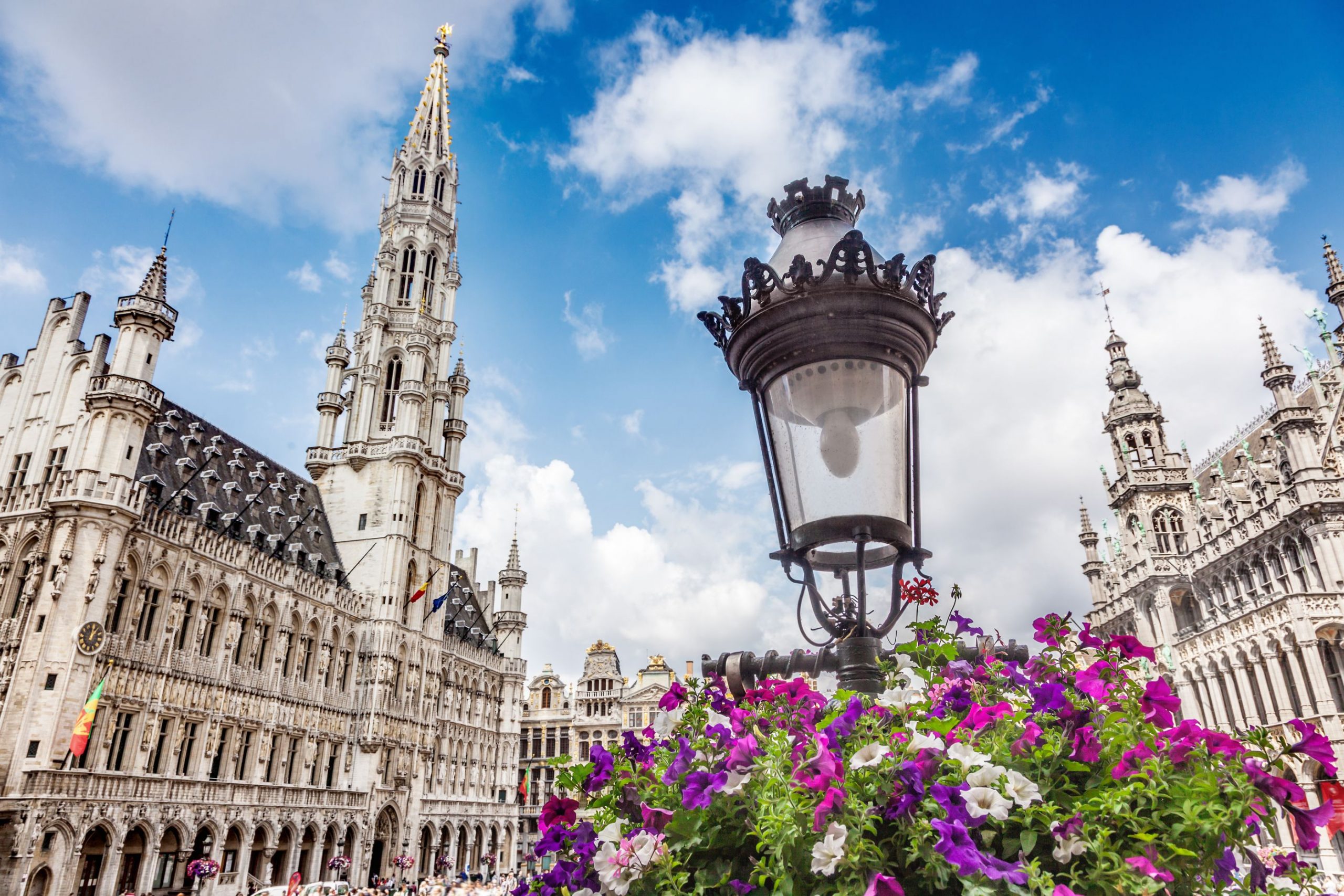 the-grand-place-in-brussels-belgium-lions-club-brussel-munt